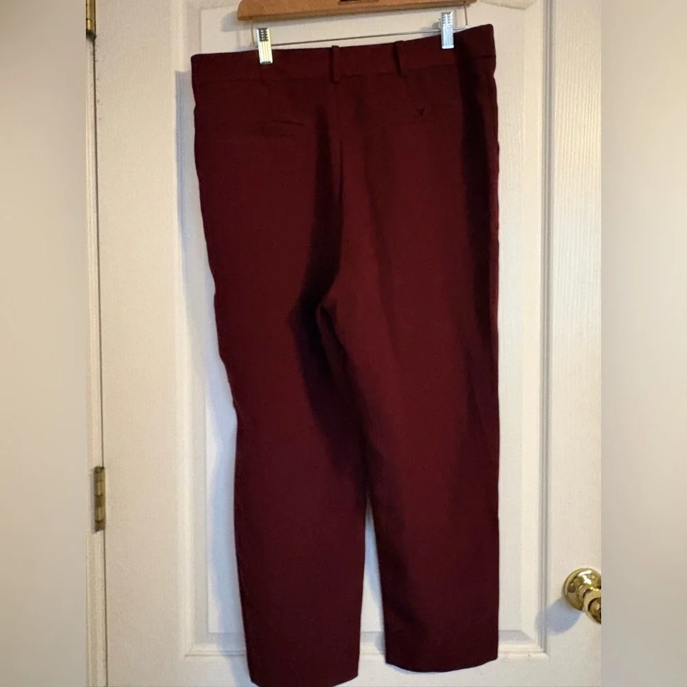 Anthropologie Sasha Button Fly Tapered Trouser Pants Business Travel Pleated - Picture 3 of 9